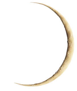 Luna Nueva